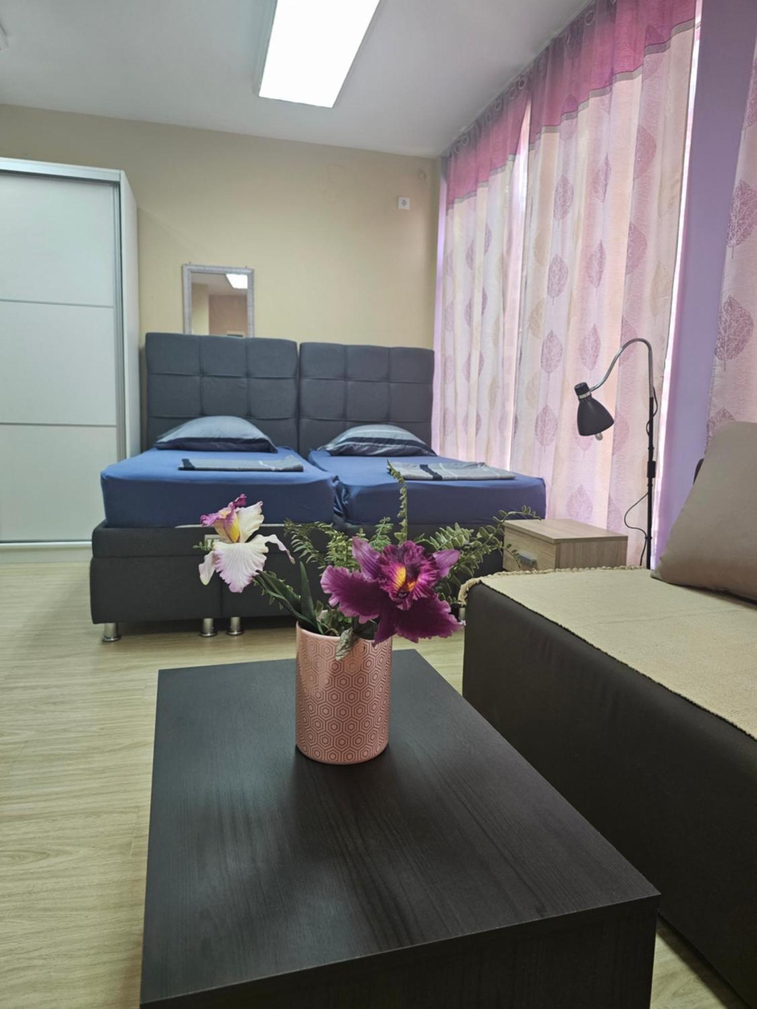 Apartman Leni2 U Centru Zajecara Exterior foto