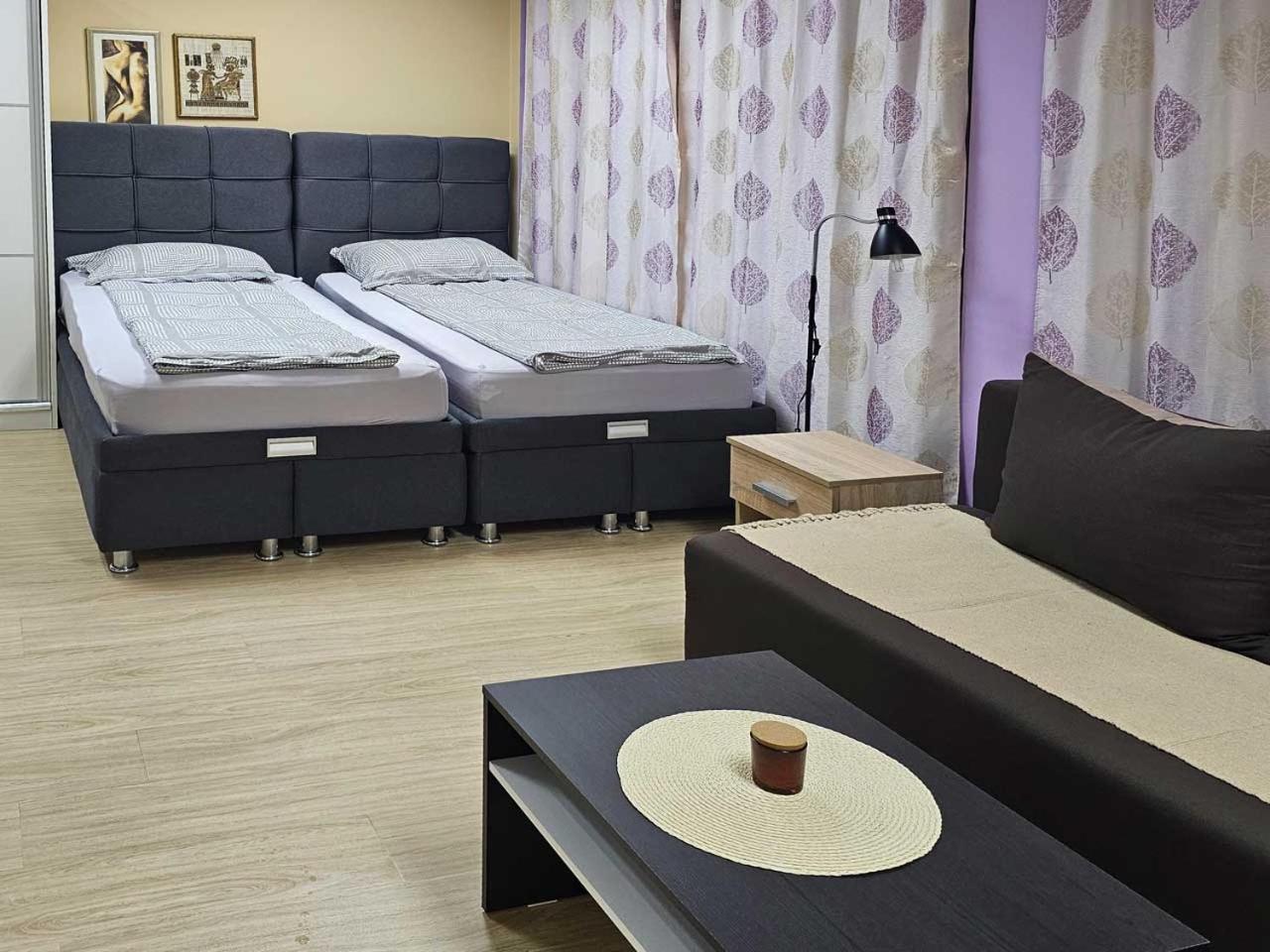 Apartman Leni2 U Centru Zajecara Exterior foto
